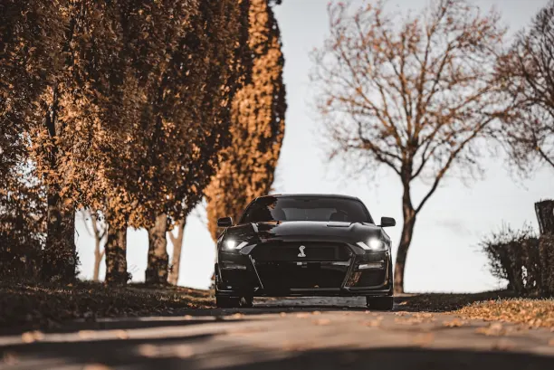 Kasino Lion Wins Android/iOS aplikace